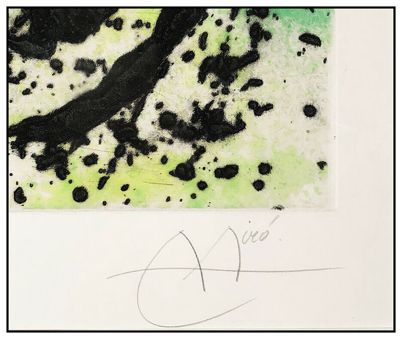 Joan Miró, ‘Regne Vegetal (D.462)’, 1968, Print, Etching with Aquatint and Carborundum, Original Art Broker