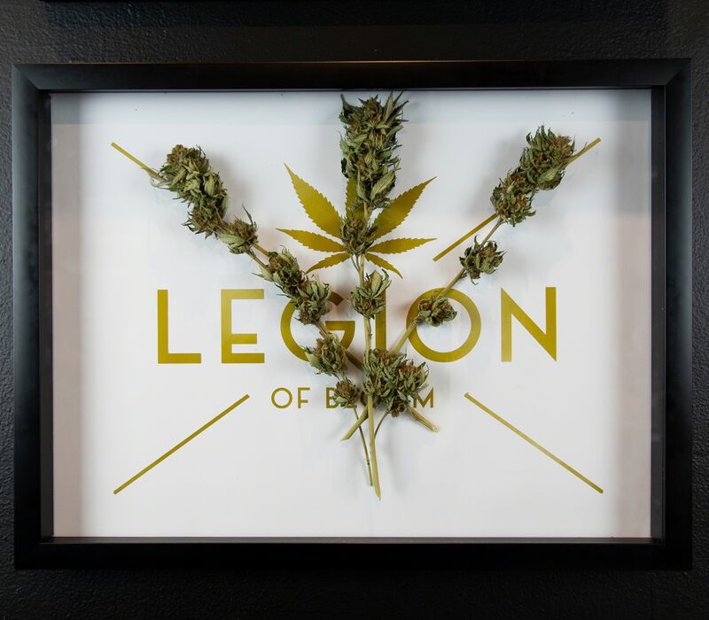 The LEGION of Bloom, ‘Mango Saphire OG (Outdoor)’, 2018, Mixed Media, Cannabis and Print, EWKUKS