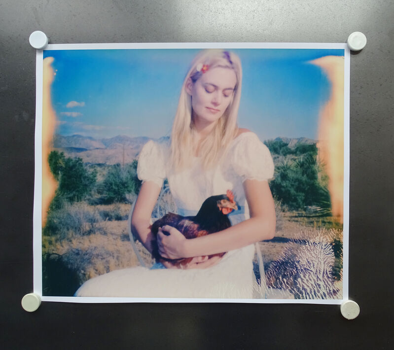 Stefanie Schneider, ‘Chicken Madonna’, 2016, Photography, Lambda Print based on a Polaroid, not mounted, Instantdreams
