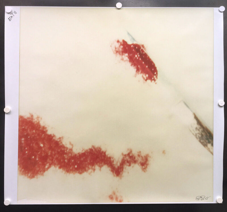 Stefanie Schneider, ‘Traces  (Frozen) - Proofs before Printing - 1 available’, 2005, Photography, Analog C-Print, hand-printed by the artist on Fuji Crystal Archive Paper, matte surface, based on an expired Polaroid, not mounted., Instantdreams