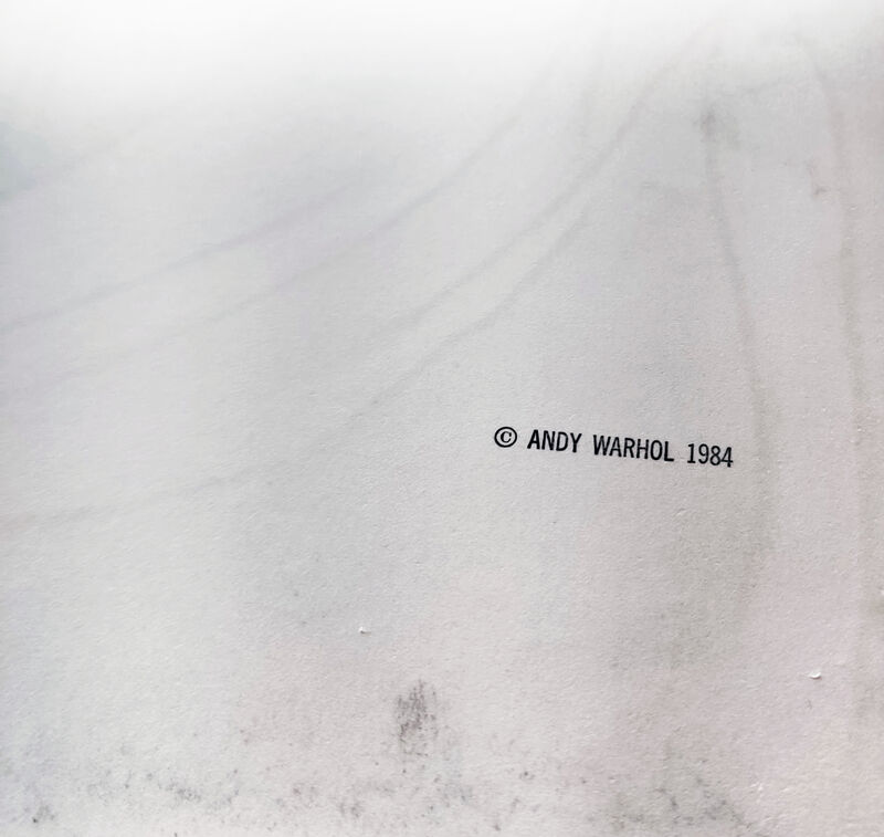 Andy Warhol, ‘SAINT APOLLONIA FS II.330’, 1984, Print, SCREENPRINT, Gallery Art