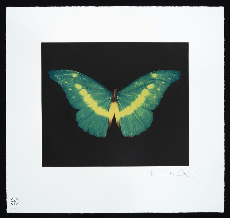 Damien Hirst, ‘Butterfly – Landscape – To Belie’, 2012, Print, Cassia Bomeny Galeria