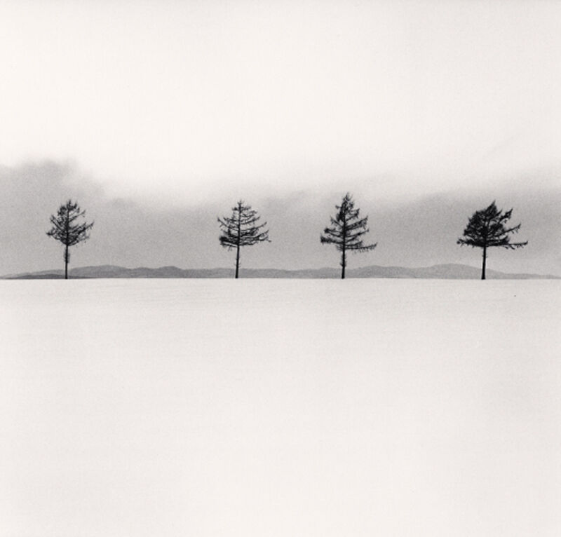 Michael Kenna, ‘Kurosawa's Trees, Study 3, Memanbetsu, Hokkaido, Japan’, 2020, Photography, Sepia toned gelatin silver print, PDNB Gallery