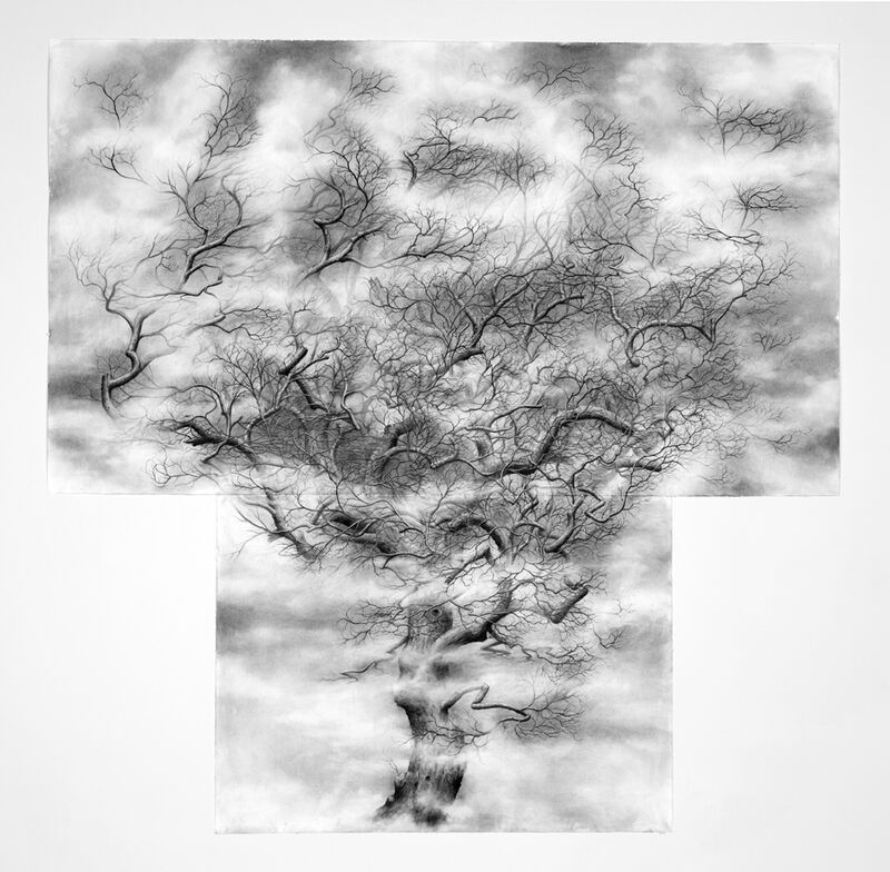Jim Sullivan, ‘Tree #3’, 2012, Drawing, Collage or other Work on Paper, Charcoal and eraser on paper, Nancy Hoffman Gallery