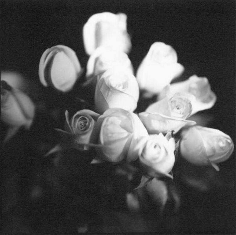 Bruce Cratsley, ‘12 Roses’, 1994, Photography, Silver print unmounted, Contemporary Works/Vintage Works