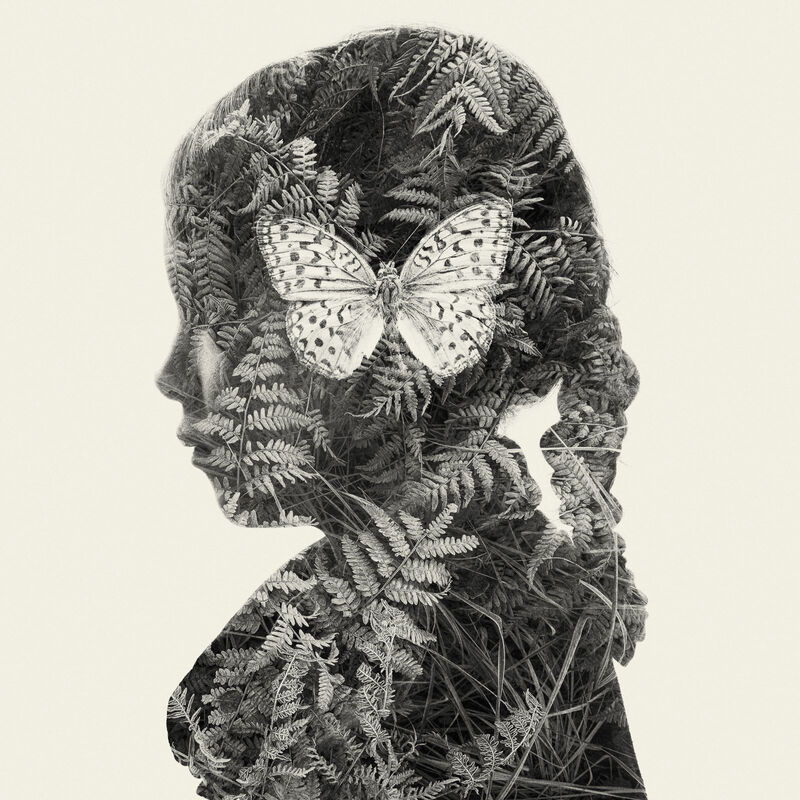 Christoffer Relander, ‘Butterfly Mind’, 2019, Photography, Photographic paper (different options possible), Muriel Guépin Gallery