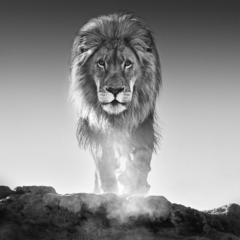 David Yarrow, ‘The Old Testament’, 2017, Photography, Technique: Archival Pigment Print, Petra Gut Contemporary