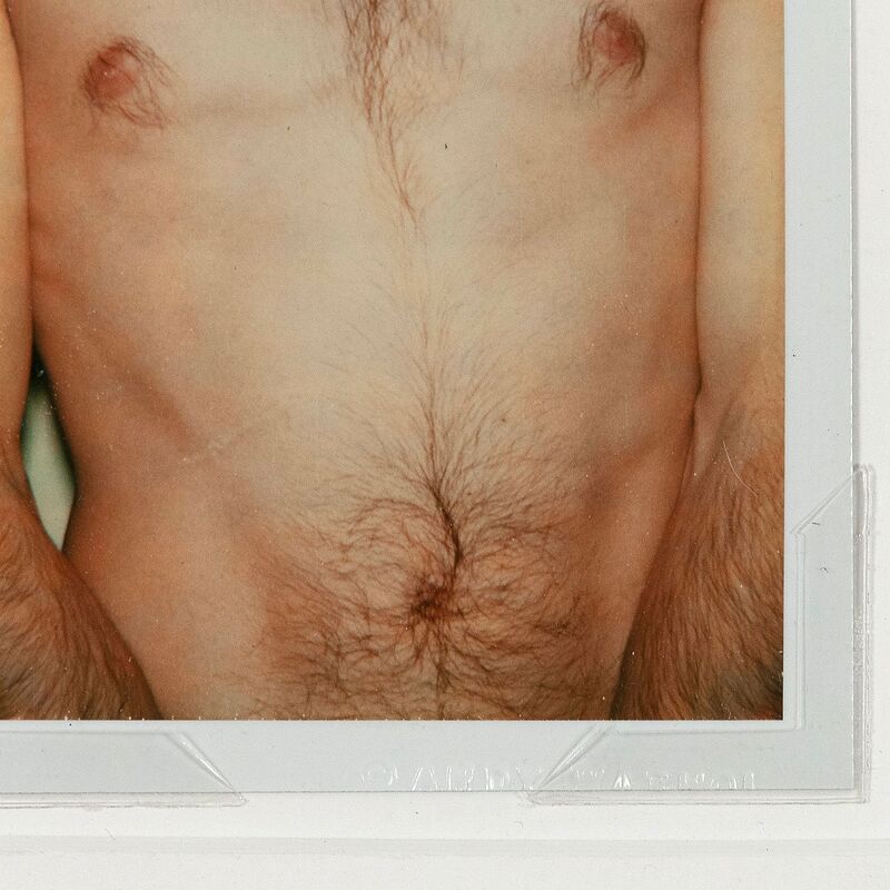 Andy Warhol, ‘Polaroids Photograph, Sex Parts: Torso’, 1977, Photography, Unique polaroid print, Caviar20