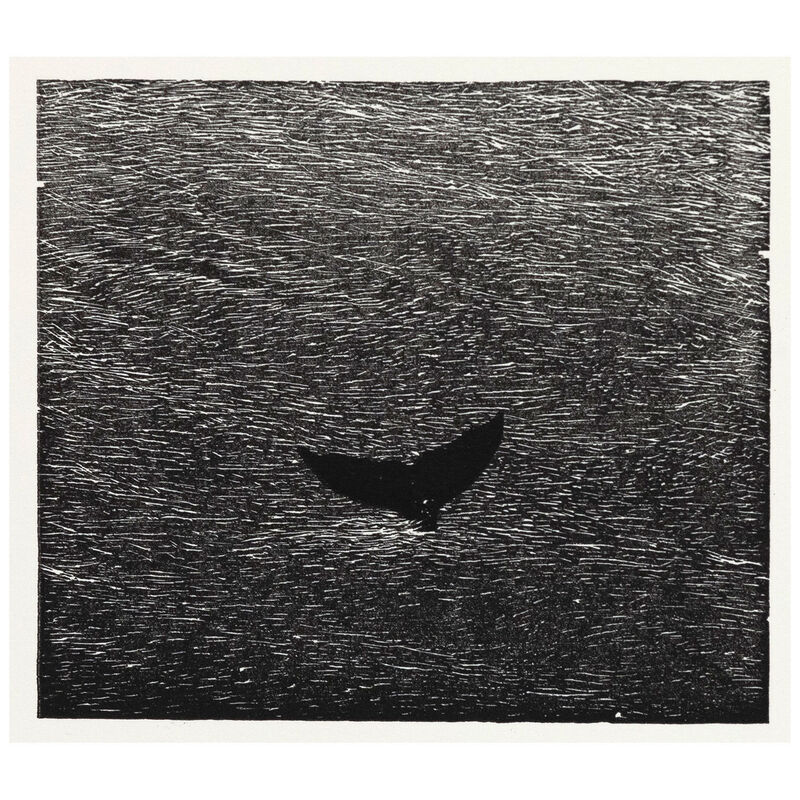 Vija Celmins, ‘Whale’, 1990, Print, Wood engraving on Somerset wove paper, Caviar20