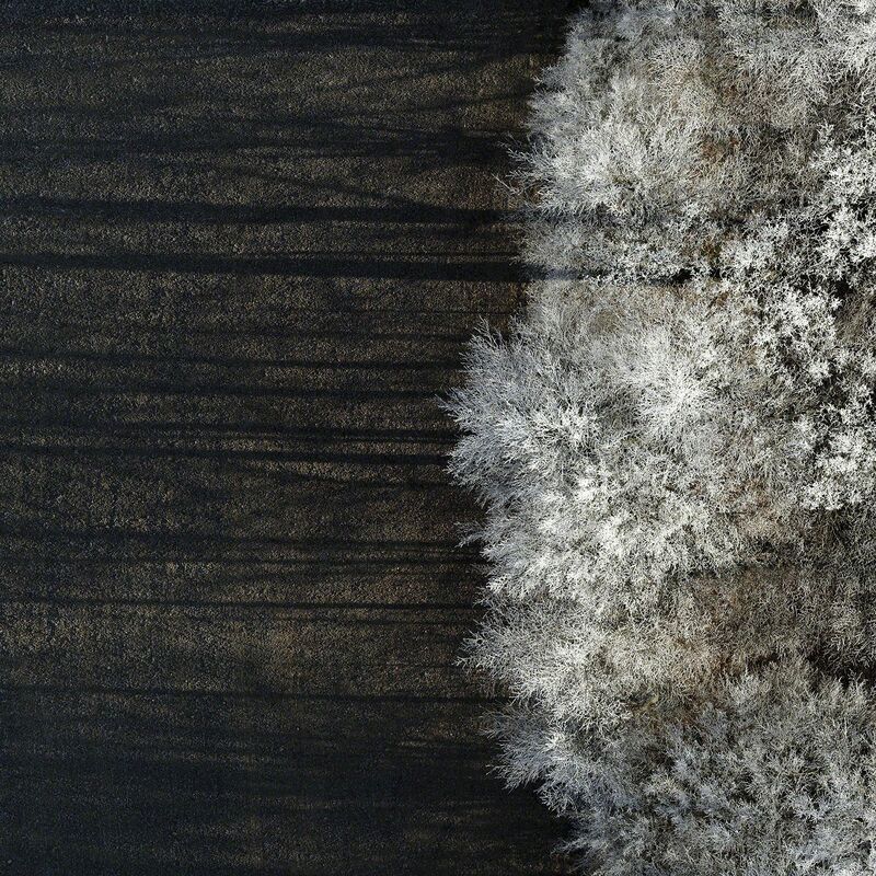 Kacper Kowalski, ‘Untitled (Winter Trees Triptych)’, 2017-2018, Photography, Archival pigment prints, Galerie XII
