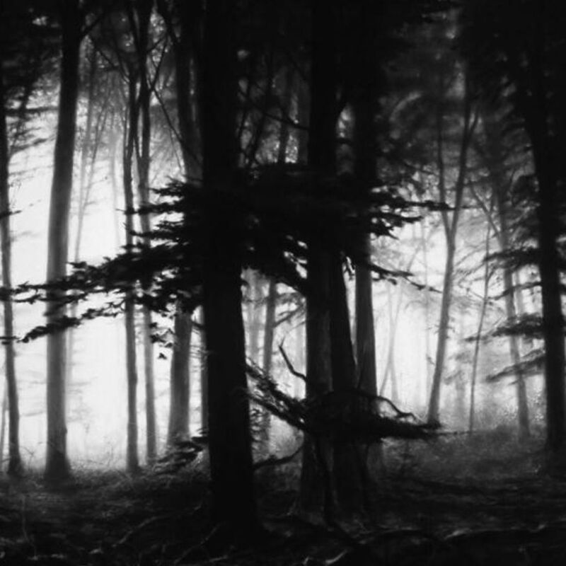 Robert Longo, ‘Forest Of Doxa’, 2014, Photography, Archival pigment print, Artsy x Rago/Wright