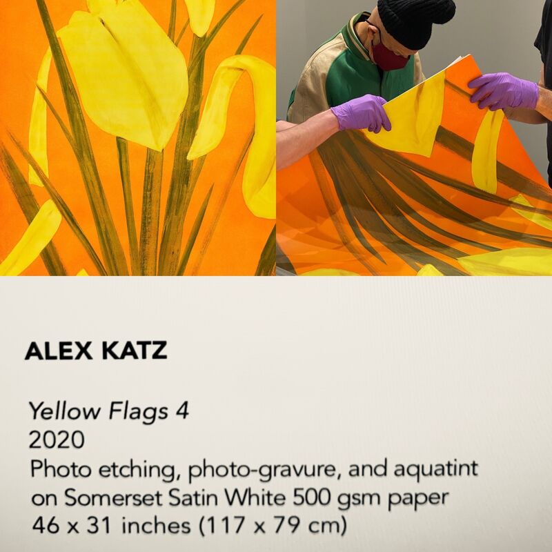 Alex Katz, ‘Yellow Flags 4’, 2021, Print, Photoetching, aquatint, Adamar Fine Arts