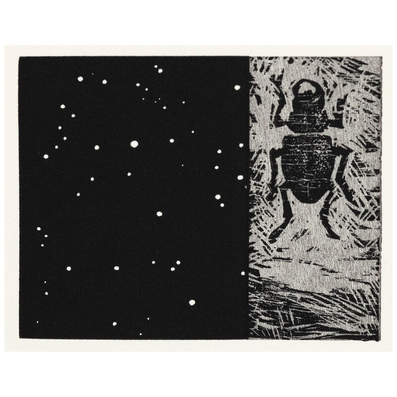 Vija Celmins, ‘Night Sky / Beetle’, 1990, Print, Woodcut and linoleum cut on Somerset paper, Caviar20
