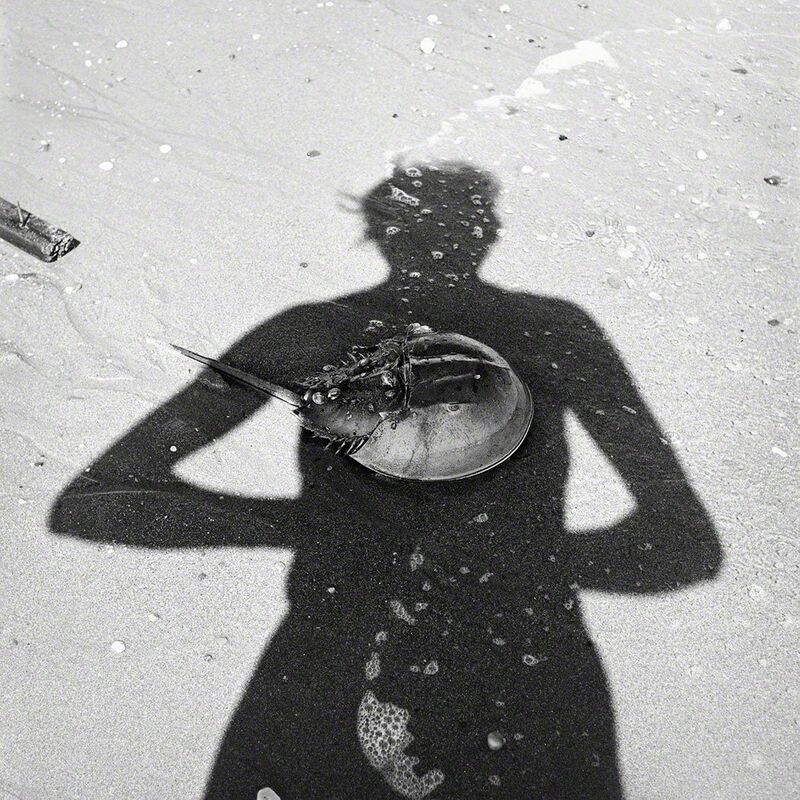 Vivian Maier, ‘0120561, Self Portrait - Horse Shoe Crab’, 2015, Photography, Modern gelatin silver print, KP Projects