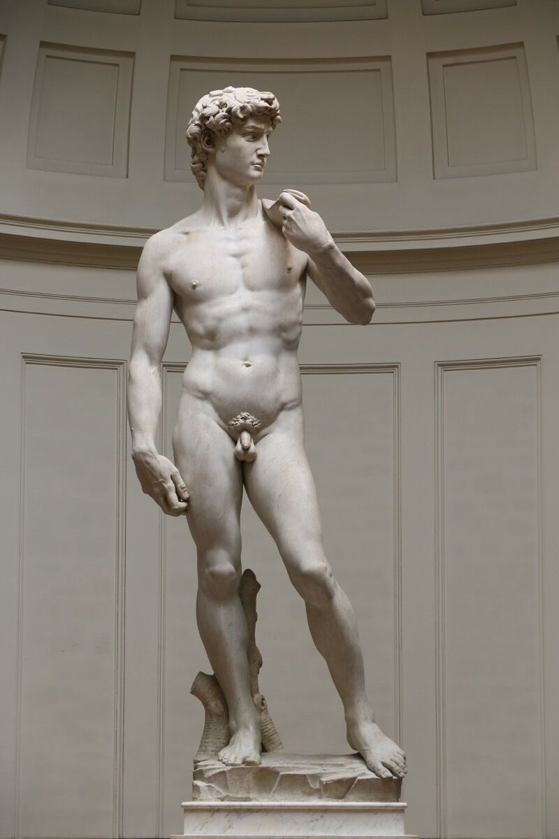 Michelangelo Buonarroti, David, 1501–04. Galleria dell’Accademia, Florence. Photo via Wikimedia Commons. 