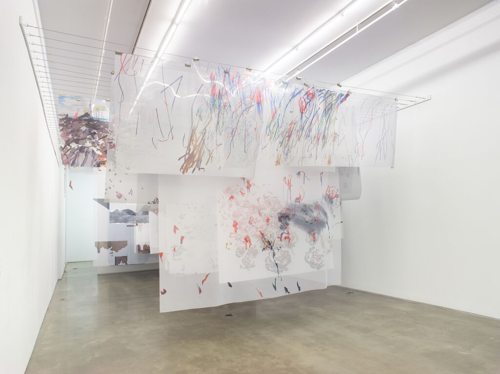 Petra Cortright, installation view of “borderline aurora borealis” at Team Gallery, 2020. Courtesy of Team Gallery.