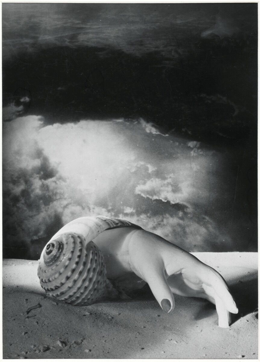 Dora Maar, Untitled (Hand-Shell), 1934. Photo © Centre Pompidou, MNAM-CCI, Dist. RMN-Grand Palais / image Centre Pompidou, MNAM-CCI. © ADAGP, Paris and DACS, London 2019. Courtesy of the Tate Modern.