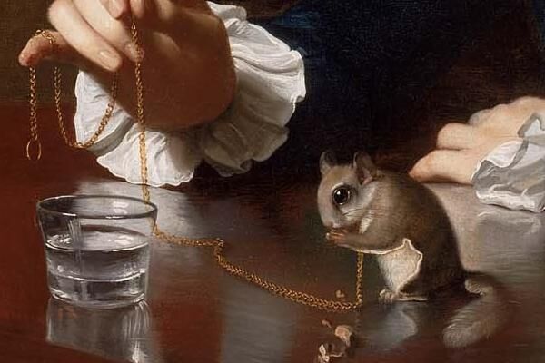 Detail of John Singleton Copley, A Boy with a Flying Squirrel (Henry Pelham), 1765. Courtesy of the Museum of Fine Arts Boston.