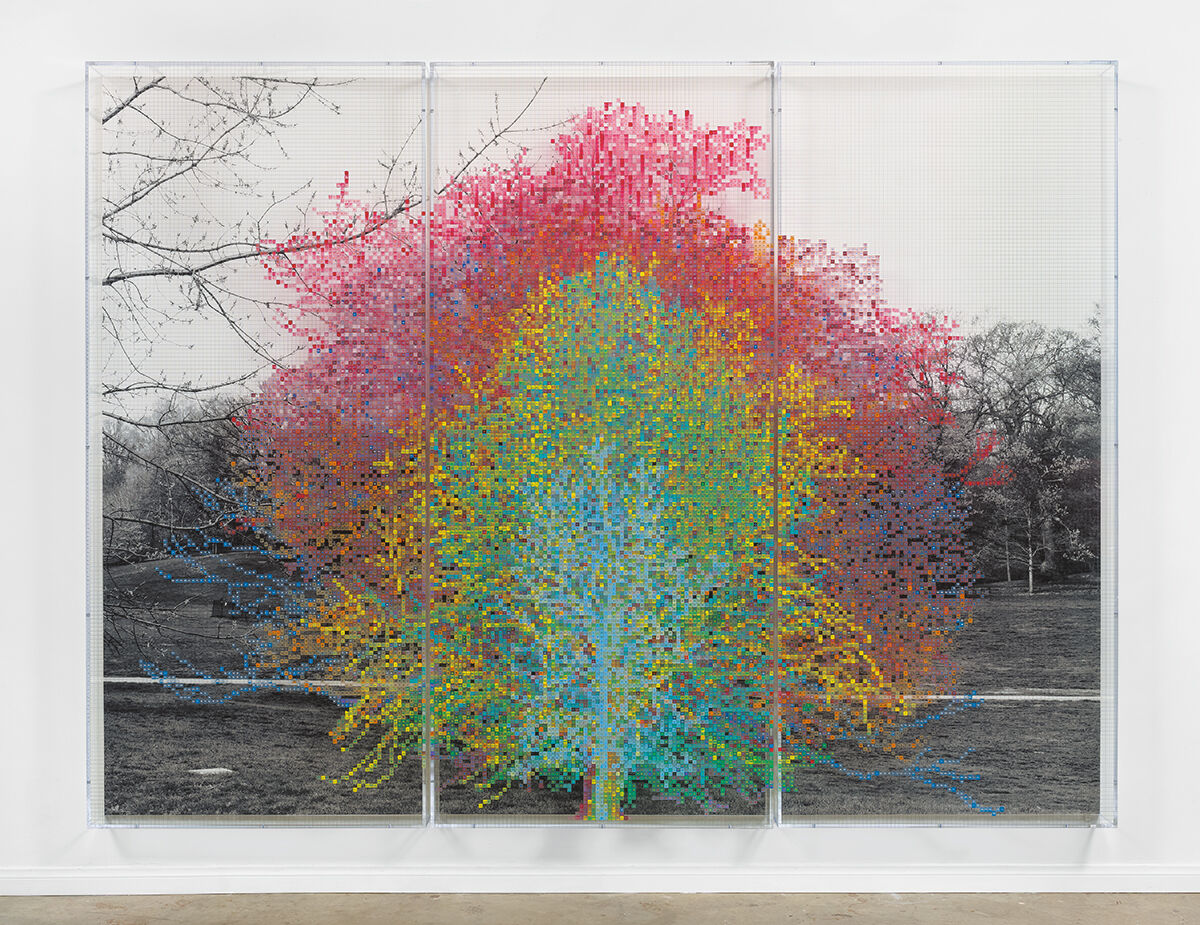 Charles Gaines, Numbers and Trees: Central Park Series I: Tree #9, Pamela, 2016. © Charles Gaines. Courtesy of the artist and Hauser &amp; Wirth.