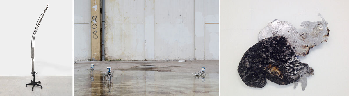 Images from left: