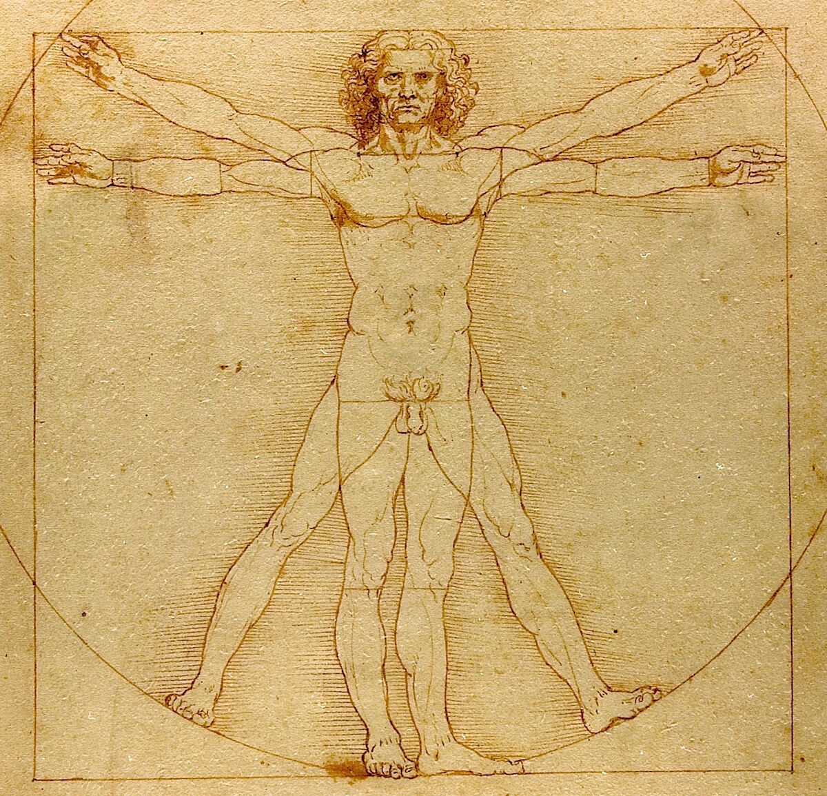 Leonardo da Vinci, Vitruvian Man, ca. 1490. Gallerie dell’Accademia, Venice. Image by Beat Ruest, via Wikimedia Commons.