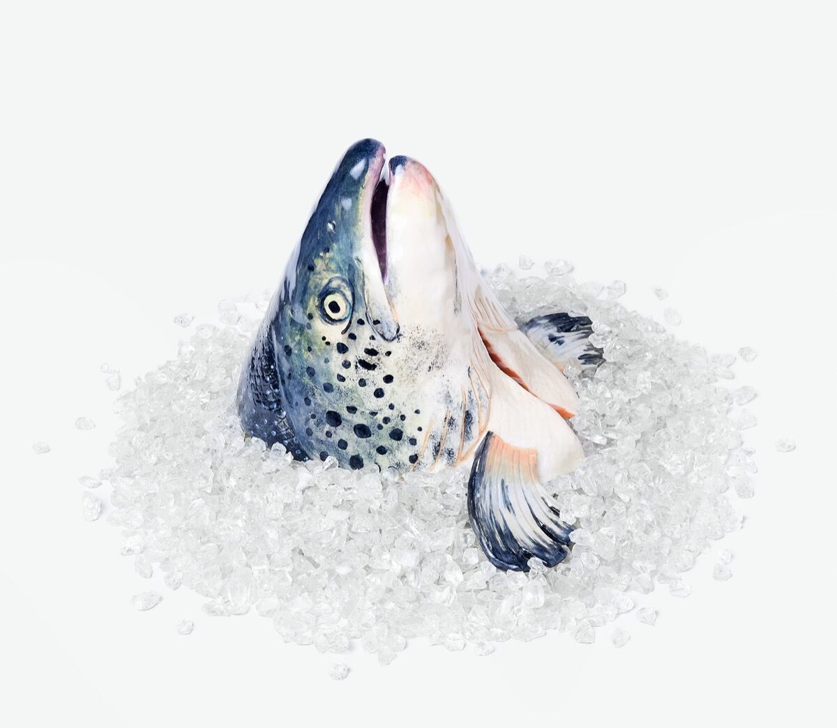 Stephanie H. Shih, Salmon Head on Ice, 2021. Photo by Robert Bredvad. Courtesy of the artist and Dinner Gallery.