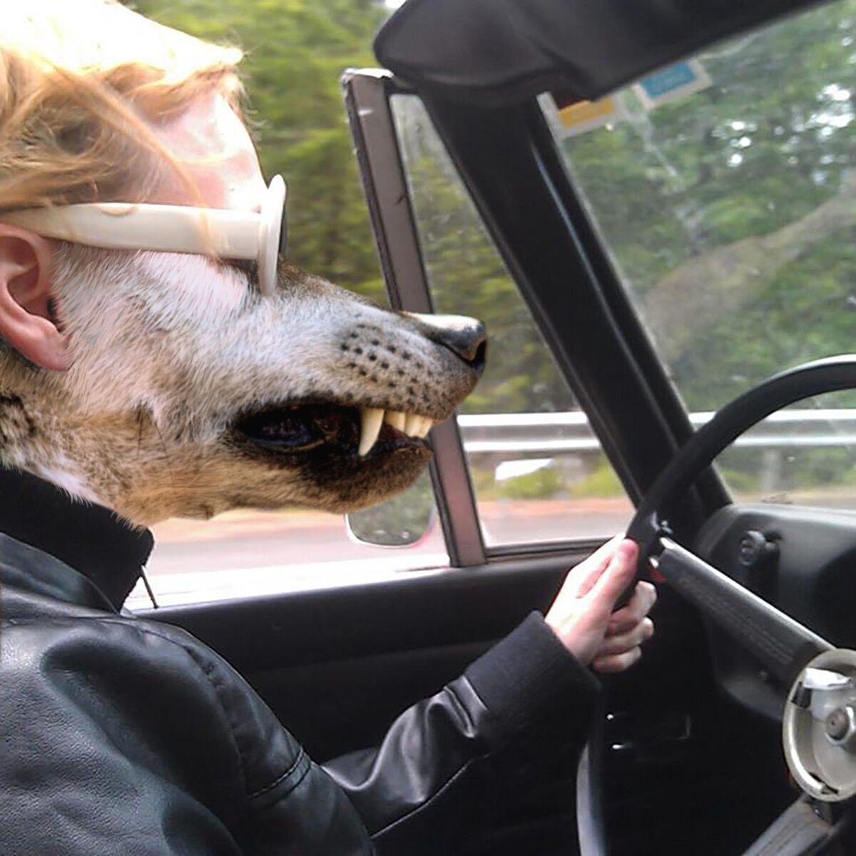 Julia Oldham, Werewolf Driving her 1969 Datsun Roadster, 2017. Courtesy of the artist. 