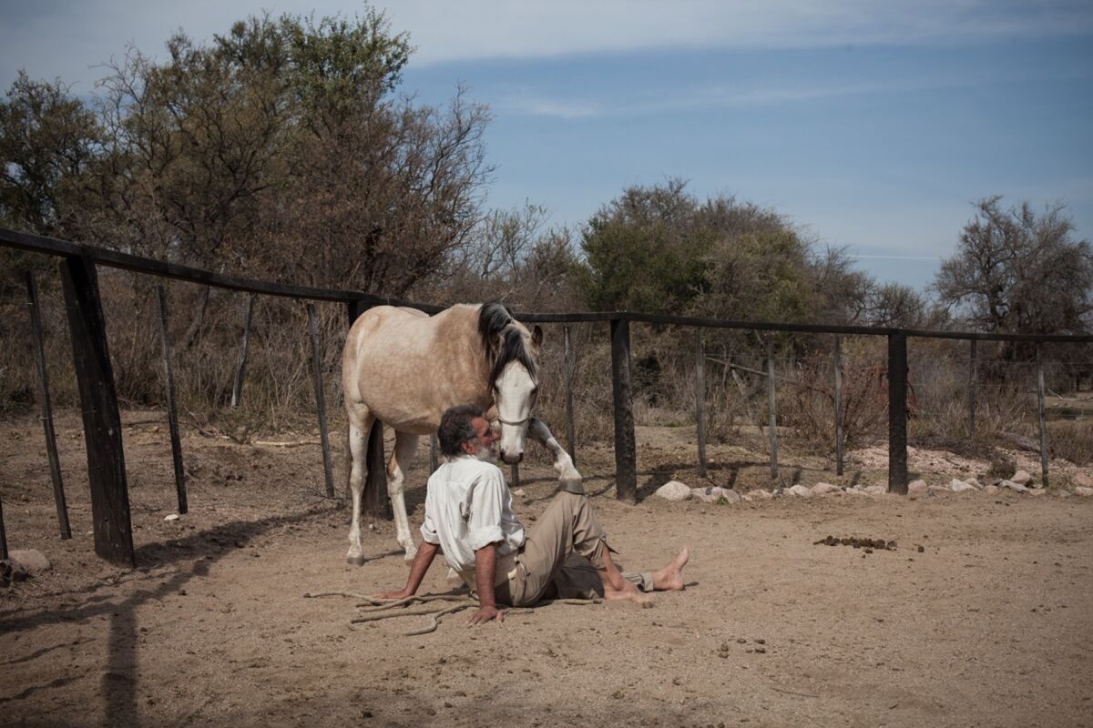 Horse whisperer Oscar Scarpati in the farmyard with a wild foal in Villa de Merlo, San Luis, Argentina, on July 27, 2017. Photo by Erica Canepa. Courtesy of the artist.