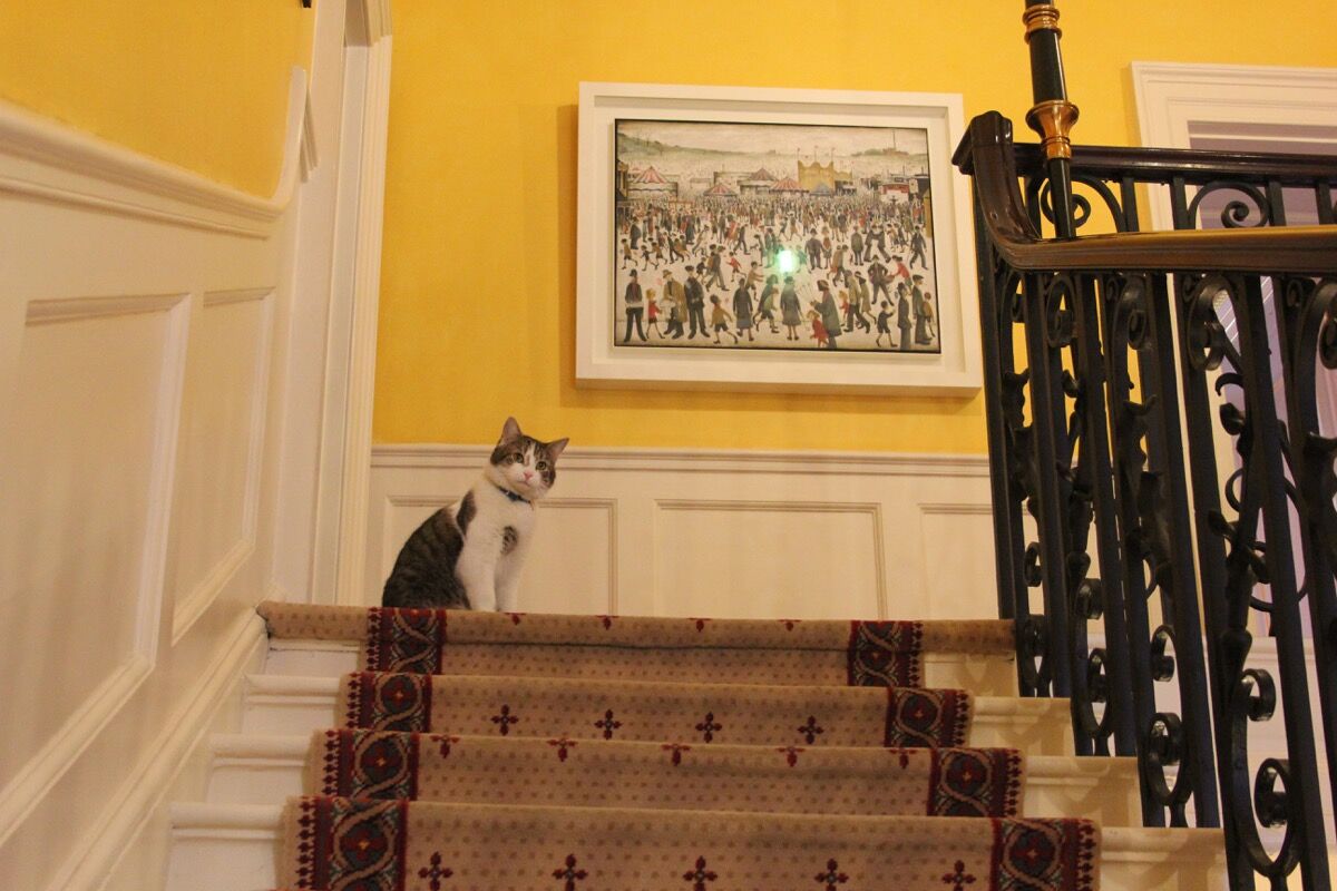 Downing Street&#x27;s cat, Larry on the staircase with L.S Lowry, Lancashire Fair: Good Friday, Daisy Nook, 1946. Photo by Number 10, via Flickr.