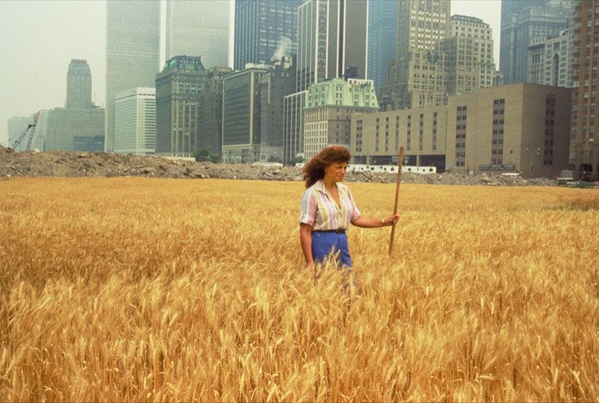 Agnes Denes, Wheatfield—A Confrontation, 1982. Photo by John McGrall. Courtesy of the artist and Leslie Tonkonow Artworks + Projects. 