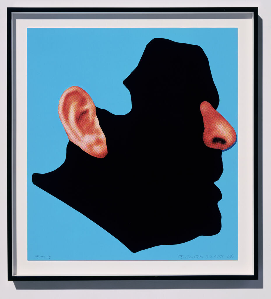 Noses & Ears Etc.:                      The Gemini Series:                     Profile with Ear and Nose (Color)