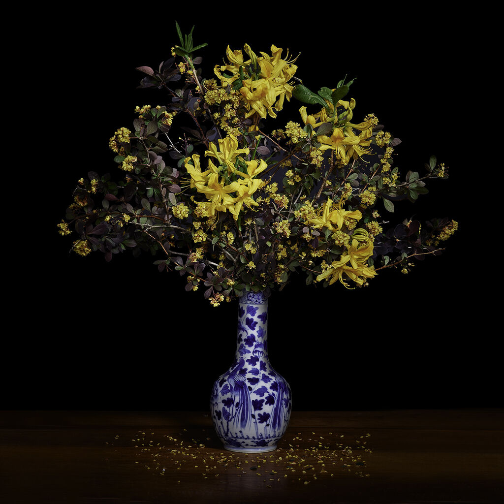 Yellow Azalea and Barberry in a Blue and White Chinese Vase