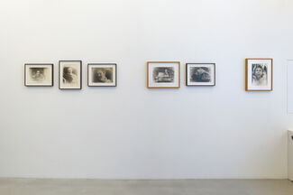 Sigmar Polke | Photographs (1964-1990), installation view