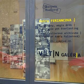 Vulnerable yet everlasting --- Sérülékeny, mégis örök  (Archive of Květa Fulierová)  | Petra  FERIANCOVÁ, installation view