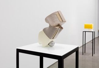 Ross Knight - "Human Stuff", installation view